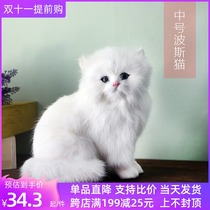 The simulated animal cat childrens plush toy will be called Cat doll pet model specimen crafts ornaments