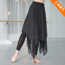 Dance Pants Modern Classical Dance Fluey Snowspun Halfbody Skirt Long style Skirt Modell Fake two practice Gongfu Winter