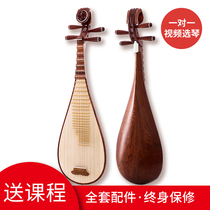 Beauty Music Pipa Instruments Children Adults Professional Exam Grade Red Wood Acid Branches Wood Pipa Harmonica Beginology Introductory Teaching Exercises