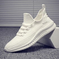 Hong Kong Tide Card 2022 Summer New Web Face Thin White Shoes Mens Korean Version Breathable Casual Shoes Flying Sneakers