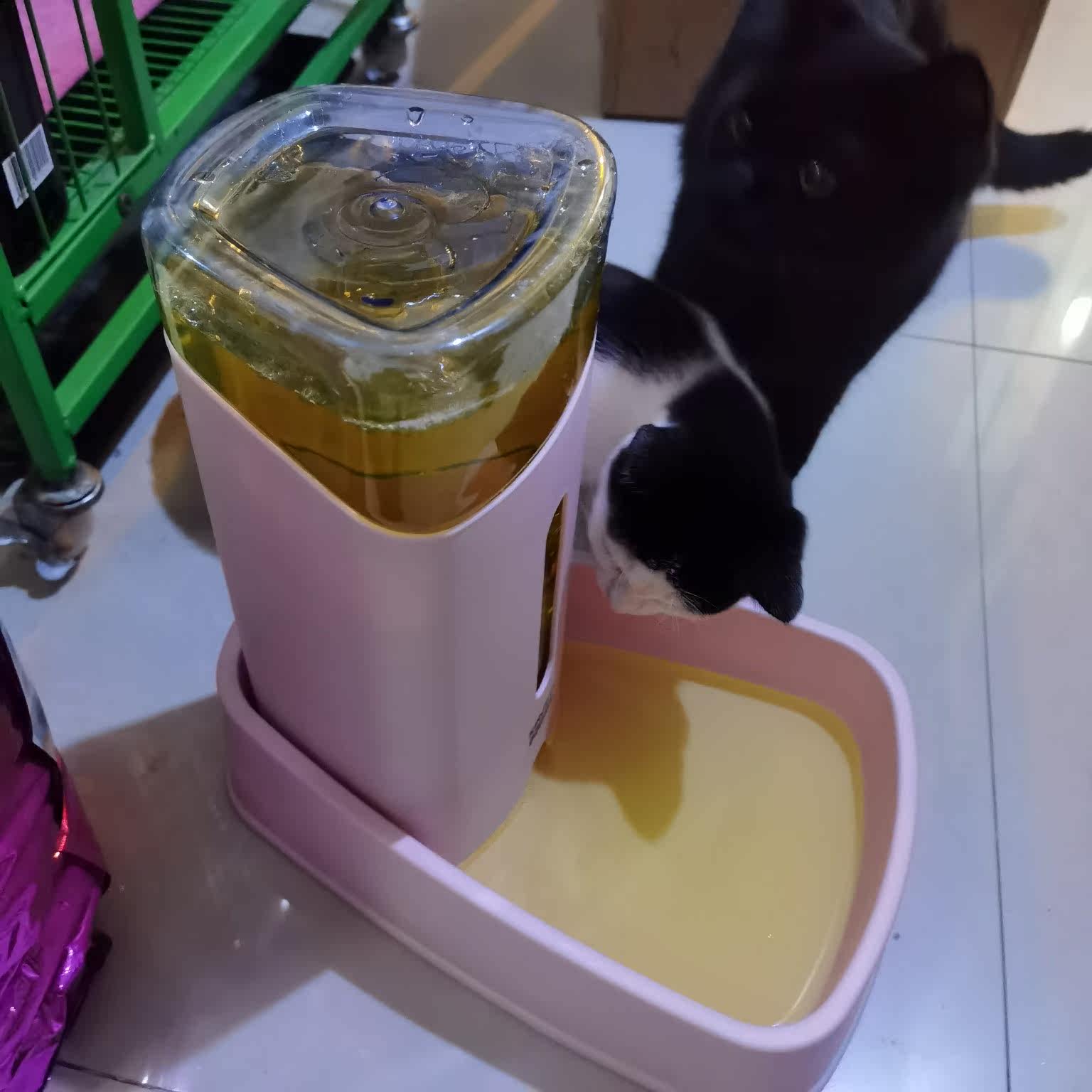 良心点评猫咪自动喂食饮水器/水壶/水头好不好呢?剖析怎么样?使用评测曝光