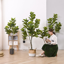 Emulated violin leaf banyan green plant potted large Nordic ins net red fake plant false tree indoor pendulum with floor decoration