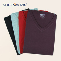 Brother China underwear ultra-thin autumn clothes autumn trousers solid color modal cotton elastic V-collar slim mens base warm set