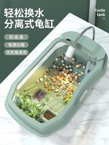 Turtle cylinder sends 2 small turtles Brazilian tortoise Tortoise Turtle tortoise Turtle Basin Pet Box Children Gift