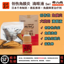 Japan Animal Hospital Pet Dog Kennel Corneal Corneal Injury Keratoconjunctivitis Ulcer Eye Drops Eye Drops