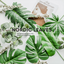 Simulation hand feeling turtle back leaves spring rain round leaf eucalyptus Net red leaves green plant flower arrangement decoration Nordic ins shooting props