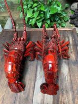 Indian leaf sandalwood lobster can actively vegetable red wood collection giftsPlay wood carving handicraft