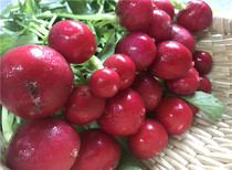 Northeast fresh vegetables eat raw fruit small carrot small water radish cherry radish 3kg dip sauce