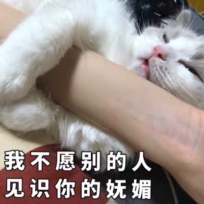 五十个字五十个字五十个字五十个字五十个字五十个字五十个字五十个字五十个字五十个字五十个字五十个字五十个字五十个字五十个字五十个字五十个字五十个字五十个字五十个字五十个字五十个字五十个字五十个字五十个字五十个字五十个字五十个字五十个字五十个字五十个字五十个字五十个字五十个字五十个字五十个五十个字五十个字五十个字五十个字五十个字五十个字五十个字五十个字五十个字五十个字五十个字五十个五十个字五十个字五十个字五十个字五十个字五十个字五十个字五十个字五十个字五十个字五十个字五十个字五十个字五十个字五十个字五十个字五十个字五十个字五十个字五十个字五十个字五十个字五十个字五十个字五十个字五十个字五十个字五十个字五十个字五十个字五十个字五十个字五十个字个字五十个字五十个字五十个字五十个字五十个字五十个字五十个字五十个字五十个字五十个字五十个字五十个字五十个字五十个字五十个字五十个字五十个字五十个字