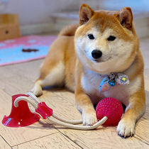 Pet bite sucker rubber dog bite small dog tug of war resistance BiTE Interactive pull chabuo Koji training toy