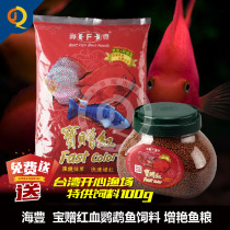 Taiwans Haifeng Baozengs red blood parrot fish feed fortune and carnivos carnivored and colorful and sent happy fish farm fish grain