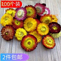 100 colorful flowers daisies phoenix tail grass Yunnan dried flowers diy material package photo frame decoration Kindergarten handmade