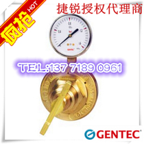 American Jie Rui GENTEC pipeline nitrogen pressure reducer 155LIN-80 125 200 155LIN-450