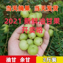 Special price 2kg fresh oil sweet fruit olive olive pregnant woman sour fruit beef sweet fruit fruit fresh fruit