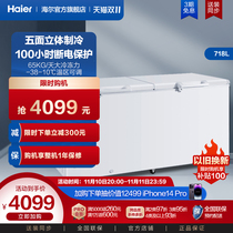 Haier 718L Large Capacity Freezer Home Horizontal Refrigerator Keep Fresh Refrigerated Dual-Use Commercial Energy Saving Refrigerator