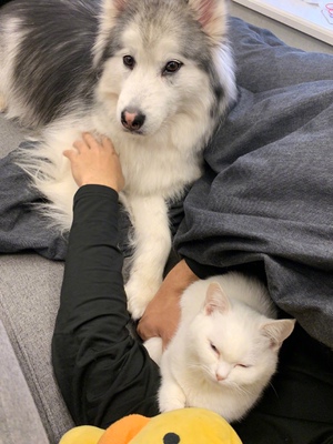 接下来是凑字数接下来是凑字数接下来是凑字数接下来是凑字数接下来是凑字数接下来是凑字数接下来是凑字数接下来是凑字数接下来是凑字数接下来是凑字数接下来是凑字数接下来是凑字数接下来是凑字数接下来是凑字数接下来是凑字数接下来是凑字数接下来是凑字数接下来是凑字数接下来是凑字数接下来是凑字数接下来是凑字数接下来是凑字数接下来是凑字数接下来是凑字数接下来是凑字数接下来是凑字数接下来是凑字数接下来是凑字数接下来是凑字数接下来是凑字数接下来是凑字数接下来是凑字数接下来是凑字数接下来是凑字数接下来是凑字数接下来是凑字数接下来是凑字数接下来是凑字数接下来是凑字数接下来是凑字数接下来是凑字数接下来是凑字数接下来是凑字数接下来是凑字数接下来是凑字数接下来是凑字数接下来是凑字数接下来是凑字数接下来是凑字数接下来是凑字数接下来是凑字数接下来是凑字数接下来是凑字数接下来是凑字数接下来是凑字数接下来是凑字数接下来是凑字数接下来是凑字数接下来是凑字数接下来是凑字数接下来是凑字数接下来是凑字数接下来是凑字数接下来是凑字数 接下来是凑字数接下来是凑字数接下来是凑字数接下来是凑字数接下来是凑字数接下来是凑字数接下来是凑字数接下来是凑字数接下来是凑字数接下来是凑字数接下来是凑字数接下来是凑字数接下来是凑字数接下来是凑字数接下来是凑字数接下来是凑字数接下来是凑字数接下来是凑字数接下来是凑字数接下来是凑字数接下来是凑字数接下来是凑字数接下来是凑字数接下来是凑字数接下来是凑字数接下来是凑字数接下来是凑字数接下来是凑字数接下来是凑字数接下来是凑字数接下来是凑字数接下来是凑字数接下来是凑字数接下来是凑字数接下来是凑字数接下来是凑字数接下来是凑字数接下来是凑字数接下来是凑字数接下来是凑字数接下来是凑字数接下来是凑字数接下来是凑字数接下来是凑字数接下来是凑字数接下来是凑字数接下来是凑字数接下来是凑字数接下来是凑字数接下来是凑字数接下来是凑字数接下来是凑字数接下来是凑字数接下来是凑字数接下来是凑字数接下来是凑字数接下来是凑字数接下来是凑字数接下来是凑字数接下来是凑字数接下来是凑字数接下来是凑字数接下来是凑字数接下来是凑字数