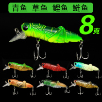Chinese fishing tackle Luya lures insects grasshoppers locusts Hard bait Freshwater fishing grass carp carp Herring silver carp special kill