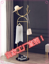 Nordic Iron Art Hanger Landing Bedroom Hanging Clothes Hanger Simple Genguan Clothing Hat Rack Mesh Red Shelf Light Extravagant Display Shelf