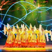 2020 Hundred Flowers Competing for a Dance Suit Drama to Serve Classical Dance Costumes a new performance suit for 2019 new performances