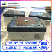 SKIIP26AC12T4V1 SKIIP23AC126V1 SKIIP24AC126V1 SKIIP25AC126V1