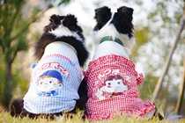 Dumbass family pet couple outfit Medium and large dog summer thin skirt vest Dog no two cute skirt