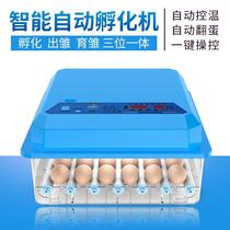 Household float incubator Egg incubator Small electric incubator Chicken insulation equipment Chicken farm electric incubator