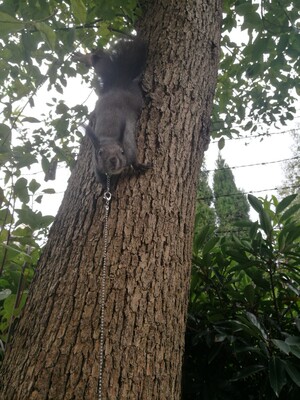 双十一优惠，不能错过，囤货。一直买的，很好。双十一优惠，不能错过，囤货。一直买的，很好。双十一优惠，不能错过，囤货。一直买的，很好。双十一优惠，不能错过，囤货。一直买的，很好。双十一优惠，不能错过，囤货。一直买的，很好。双十一优惠，不能错过，囤货。一直买的，很好。双十一优惠，不能错过，囤货。一直买的，很好。双十一优惠，不能错过，囤货。一直买的，很好。双十一优惠，不能错过，囤货。一直买的，很好。双十一优惠，不能错过，囤货。一直买的，很好。双十一优惠，不能错过，囤货。一直买的，很好。双十一优惠，不能错过，囤货。一直买的，很好。