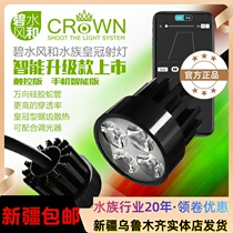 Beyonnais and Spotlight Automatic Smart Switch Tune Brightness South American Profiled Native Jar Fish Tank Adjustable Clip Lamp Aquarium