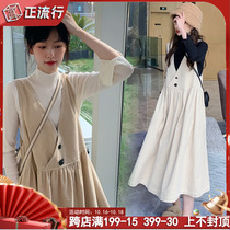 tk pregnant womens strap skirt spring and autumn long skirt Net red suit foreign style late pregnancy 2021 new spring dress