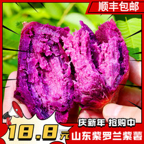 (Purple Potato Sweet Potato) Shandong Fresh Seasonal Violet Purple Potato Now Digging Sweet Potato Seasonal Farm Vegetables