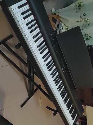 roland罗兰电钢琴fp10怎么样使用一个月后真相点评大吐槽