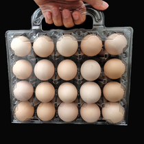 Factory direct sales leaf green egg packaging box medium 20 portable egg tray transparent plastic thickened anti-pressure