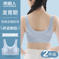 High school underwear girls junior high school girls bra adolescent child during adolescent seismic development