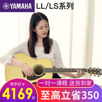 Yamaha Guitar Beginner Full Board Folk Music Guitar Shows for Boys Girls LL16 LL6 Boost TA