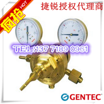 GENTEC Jierui oxygen reducer 153TX-15 153TX-40 153TX-125 153TX-200