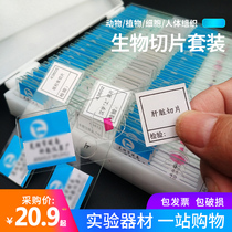 Biological slice microscope accessories Observation specimens Animal plant cells Insect samples Slides Childrens experiments