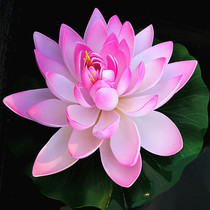 A wooden flower Road 28CM large simulation lotus flower EVA water floating water lily pool decorative flower factory direct sales