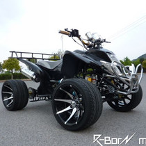 125cc Libon 12 Flat Tire Large Japanese Beach Bike Quad Ride Motorcycle Road Race ATV ATV