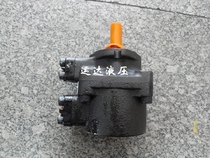 Current Goods Supply Elm Leaf vane pump fully equipped PFE-31016 31022 31044