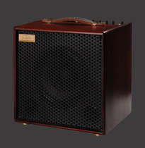 Lisun LSM Free Man 100 II Acoustic Guitar Speaker