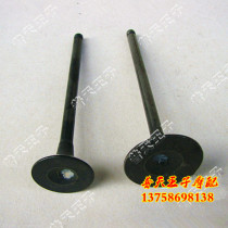 Applicable to Long QJ150-19C Lanbaolong QJ150-17A valve intake valve exhaust valve