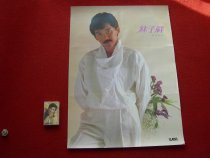 Explosive value crazy grab classic nostalgic album poster star album nostalgic collection Lin Zixiang love story