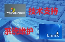 windowslinuxvps server technical support and maintenance