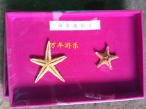 Kindergarten Star specimens of kindergarten specimens of physical specimens of kindergarten teaching