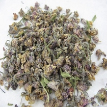 Herbal tea apocynum flower apocynum flower tea