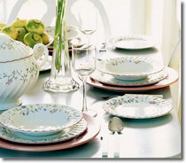 Foreign trade export original single SUMMER Western food set vegetable dish salad bowl coffee cup dessert dish