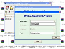 Epson TX650 EP-702A TX700 TX800 1400 1430 cleared software on a permanent basis