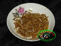 Painting Eyebrows Brother 8 Gothic Nutritional Birds Food Yellow Pink Worm Bread Worm wheat gluten live bug 50 gr 1 two