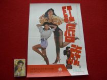 New limited time crazy grab classic nostalgic album poster star album Red lips Youth Nature red lips wish