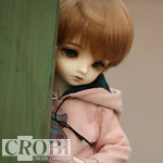 (CB)1 6 BJD vendor: tori (general muscle) (Korea)